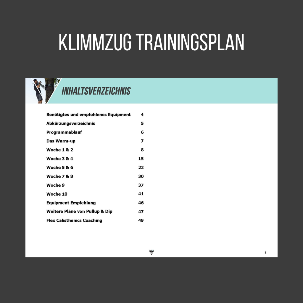 pullup-dip-ultimate-calisthenics-guide-bundle-4-guides-anglais-pdf image 2