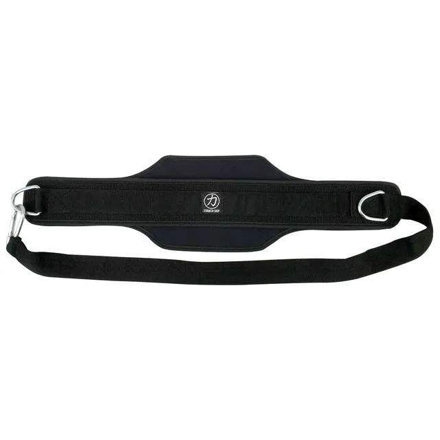 strength-shop-chainless-nylon-heavy-duty-dipping-belt-two-rings image 1