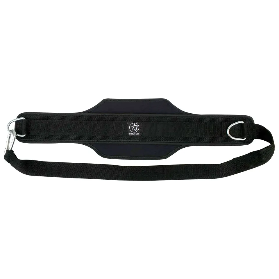 strength-shop-chainless-nylon-heavy-duty-dipping-belt-two-rings image 1