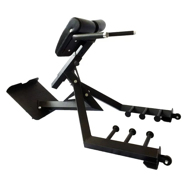 strength-shop-riot-banc-lombaires-hyperextension-heavy-duty image 1