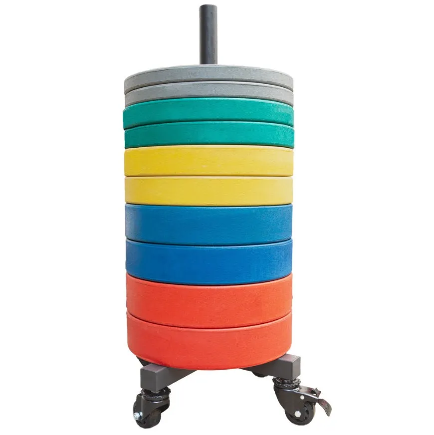strength-shop-rangement-vertical-de-disques-sur-roulettes image 1