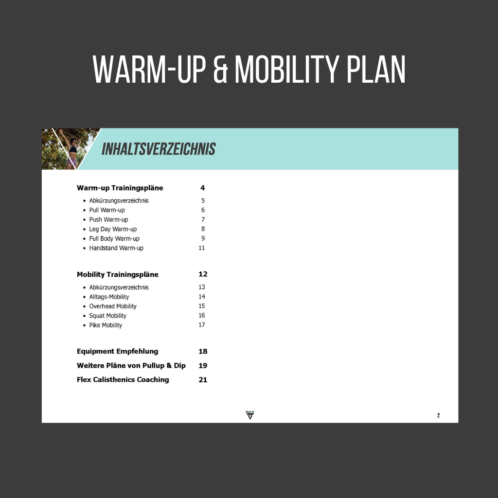 pullup-dip-ultimate-calisthenics-guide-bundle-4-guides-anglais-pdf image 3