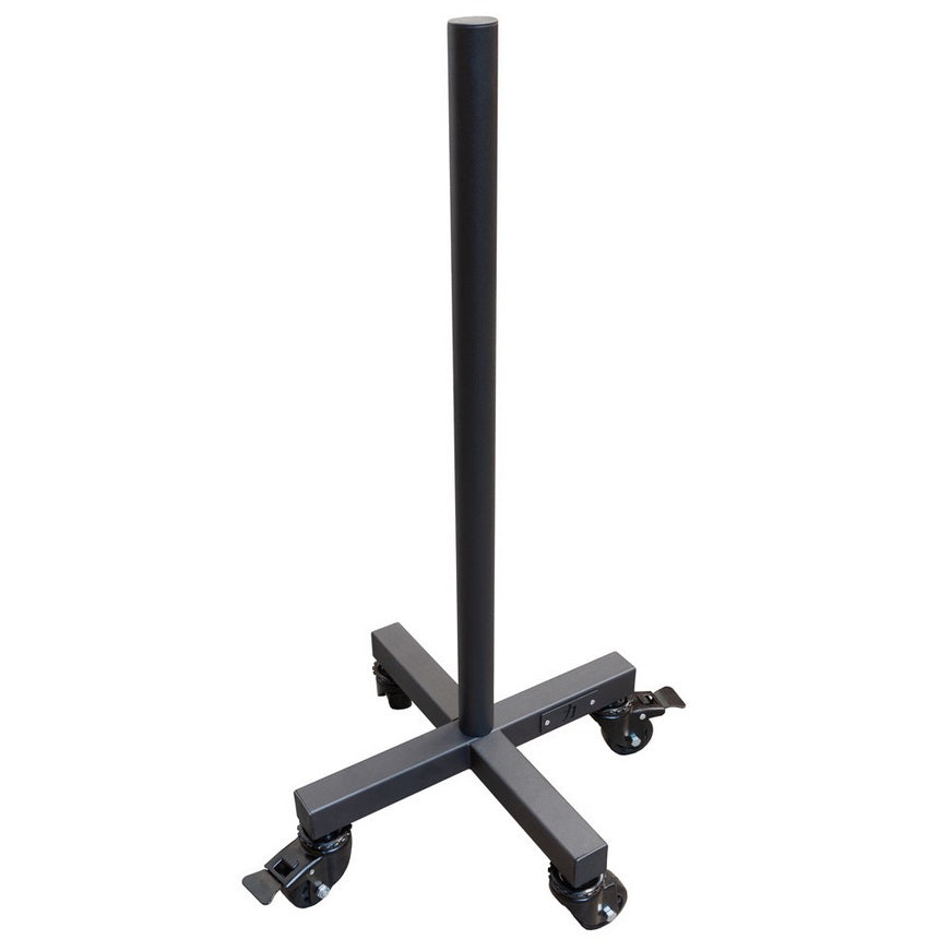 strength-shop-rangement-vertical-de-disques-sur-roulettes image 2