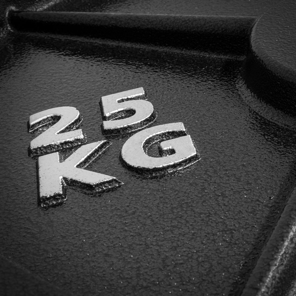 strength-shop-riot-disques-fonte-cast-iron-plates image 2