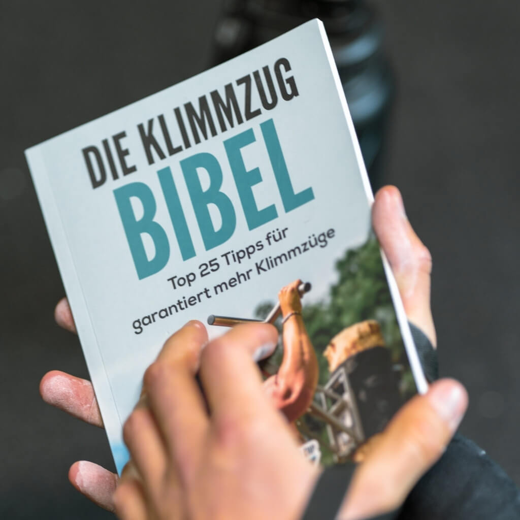 pullup-dip-die-klimmzug-bibel-livre-reli-allemand image 4