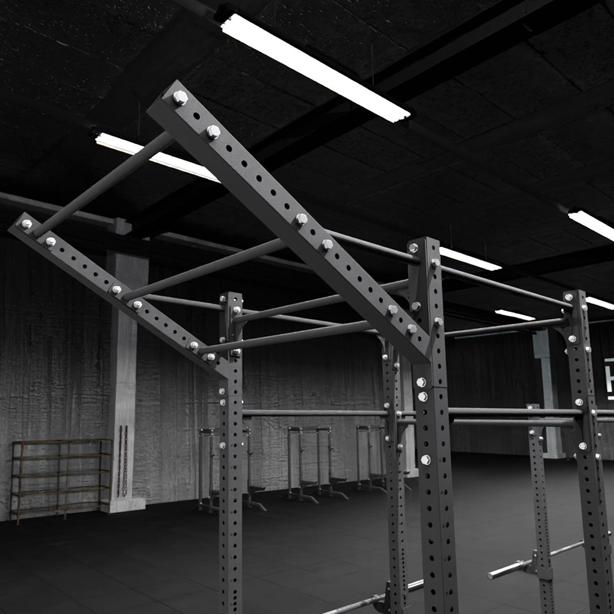 strength-shop-riot-rig-mrr-cantilever-wing-avec-monkey-bars image 3