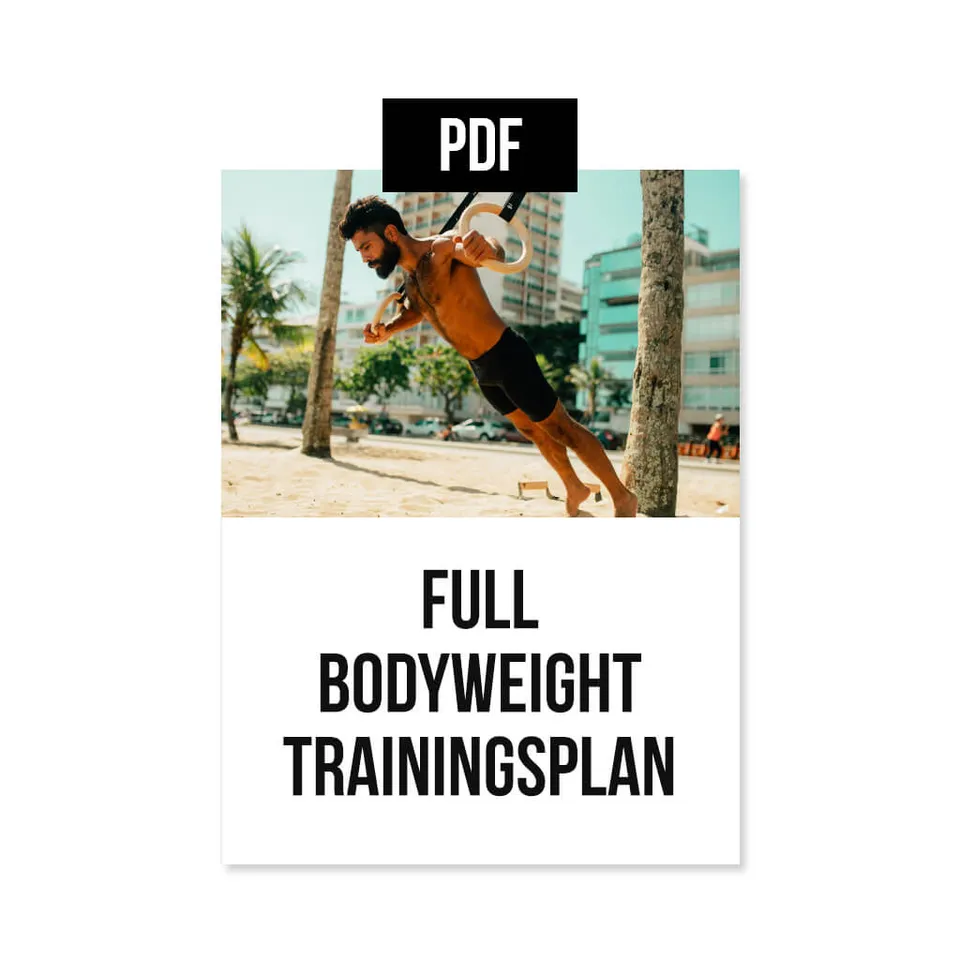 pullup-dip-plan-d-entra-nement-full-body-poids-du-corps-pdf-anglais image 1