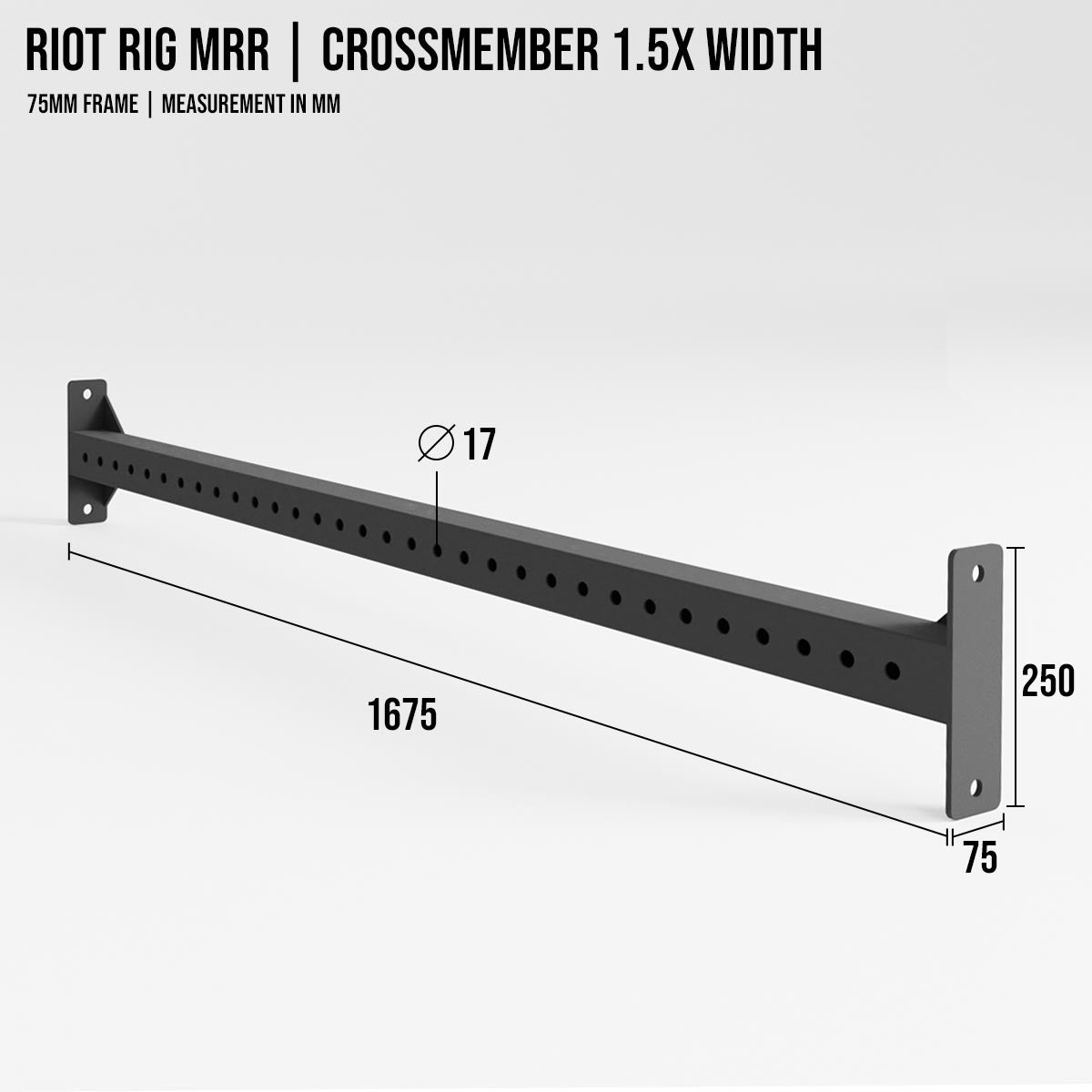 strength-shop-riot-rig-mrr-traverses-extended-1x-1-5x-2x image 3