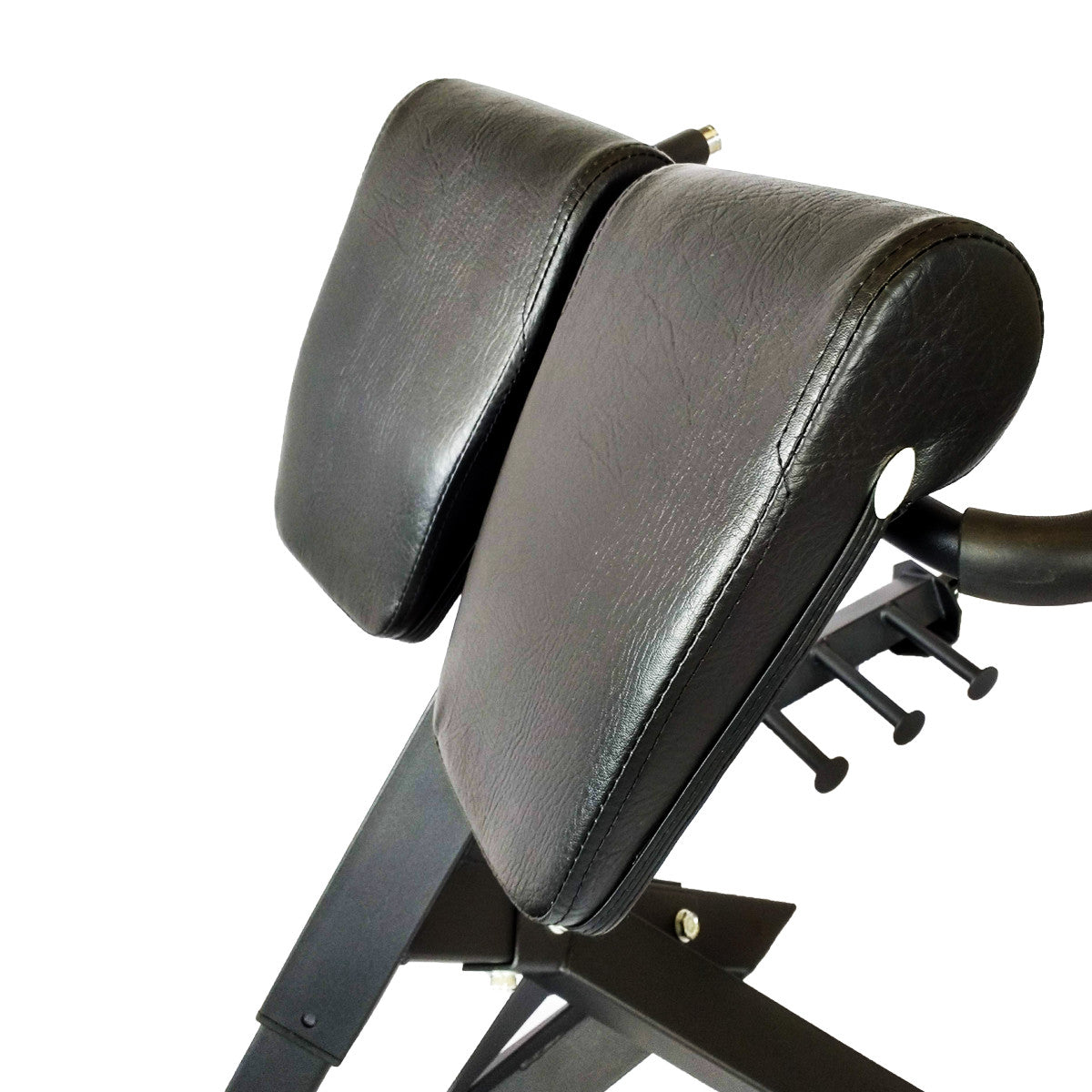 strength-shop-riot-banc-lombaires-hyperextension-heavy-duty image 5