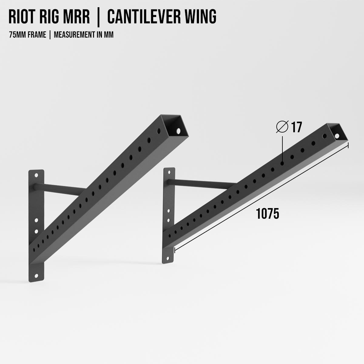 strength-shop-riot-rig-mrr-cantilever-wing-extension-rig image 2