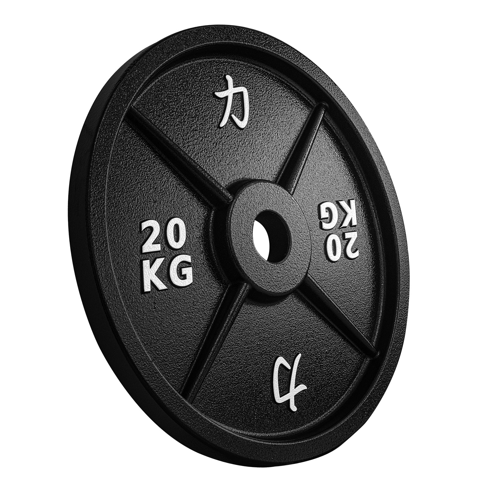 strength-shop-riot-disques-fonte-cast-iron-plates image 8