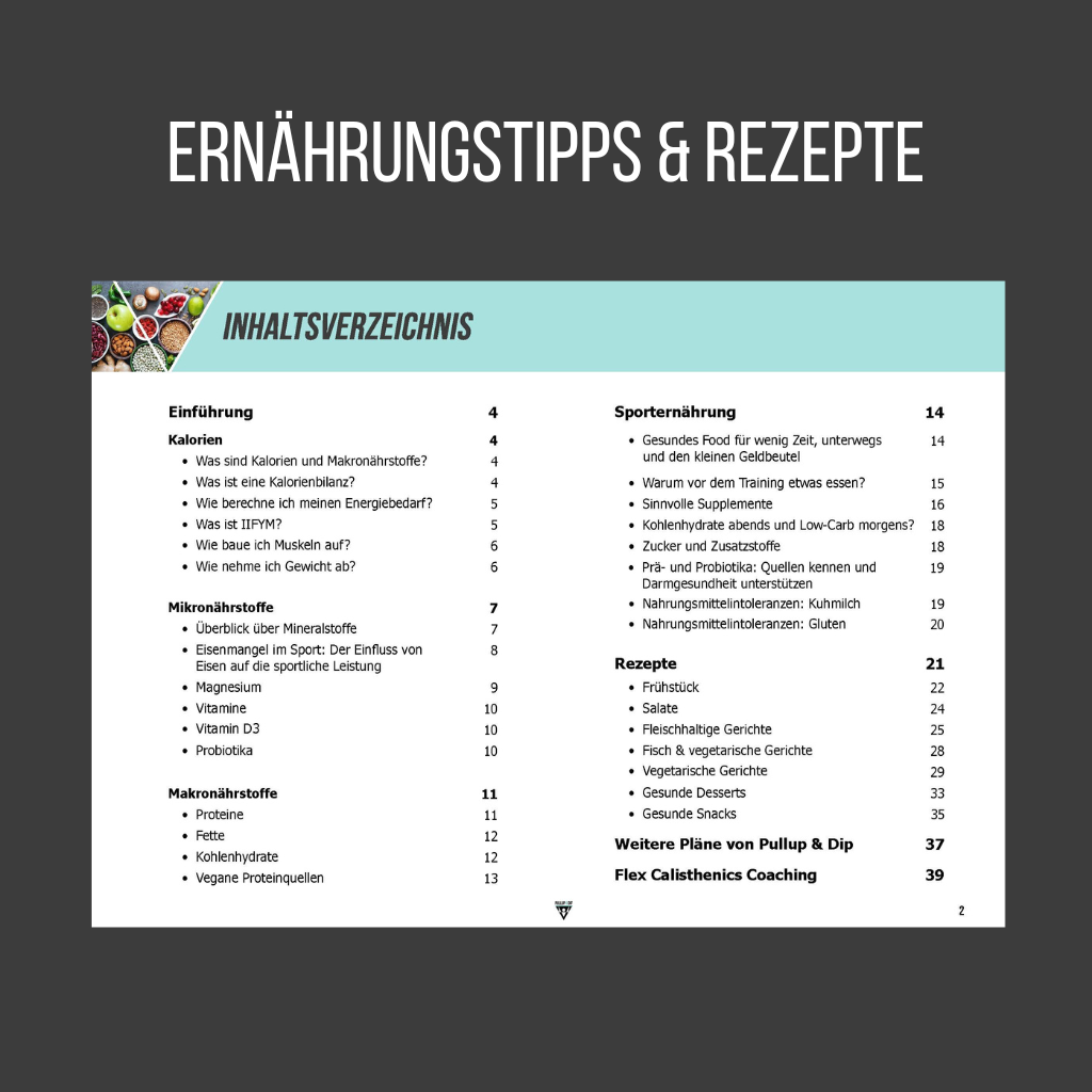 pullup-dip-ultimate-calisthenics-guide-bundle-4-guides-anglais-pdf image 4