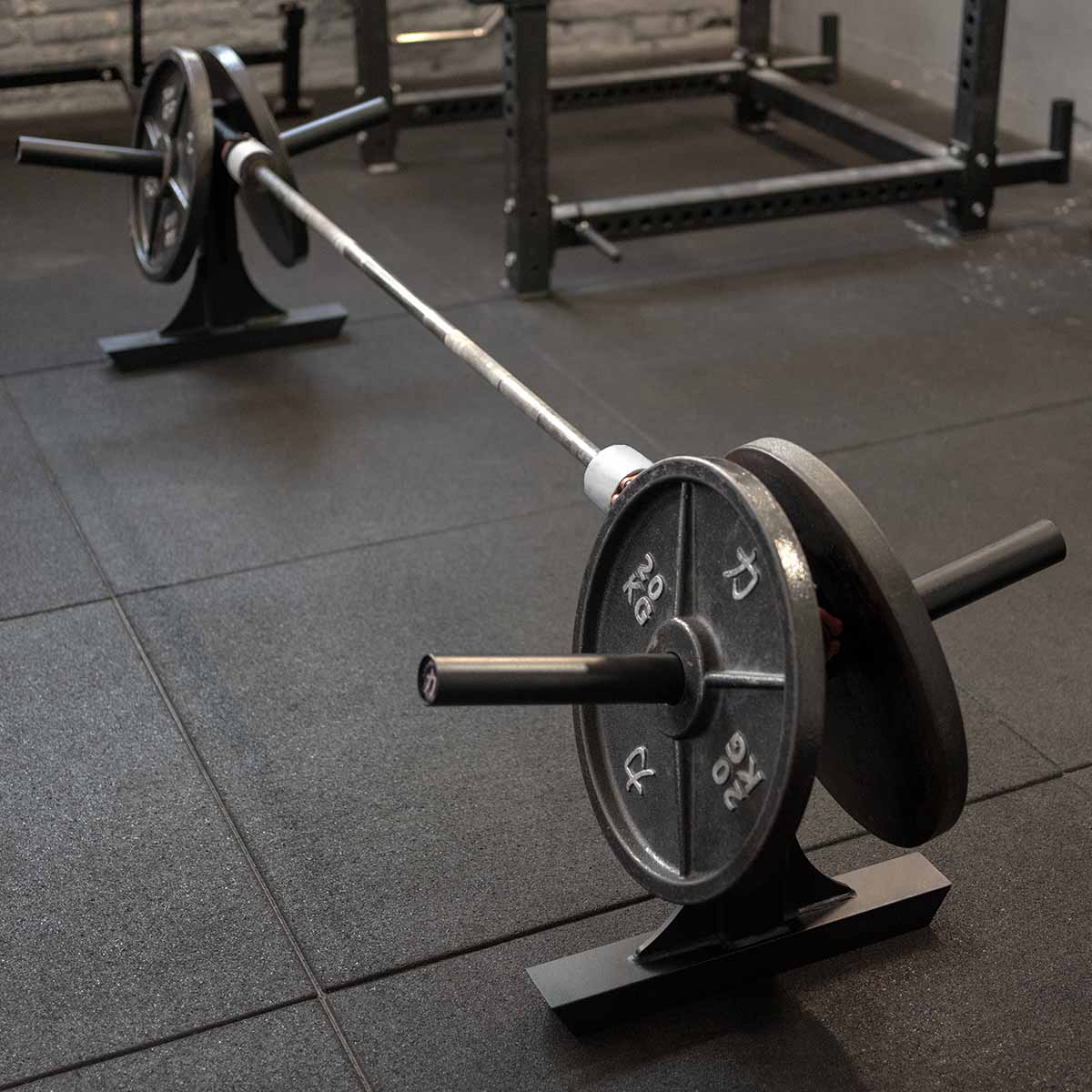 strength-shop-silver-dollar-deadlift-attachments-paire-r-hausses-de-tirage-parti image 2