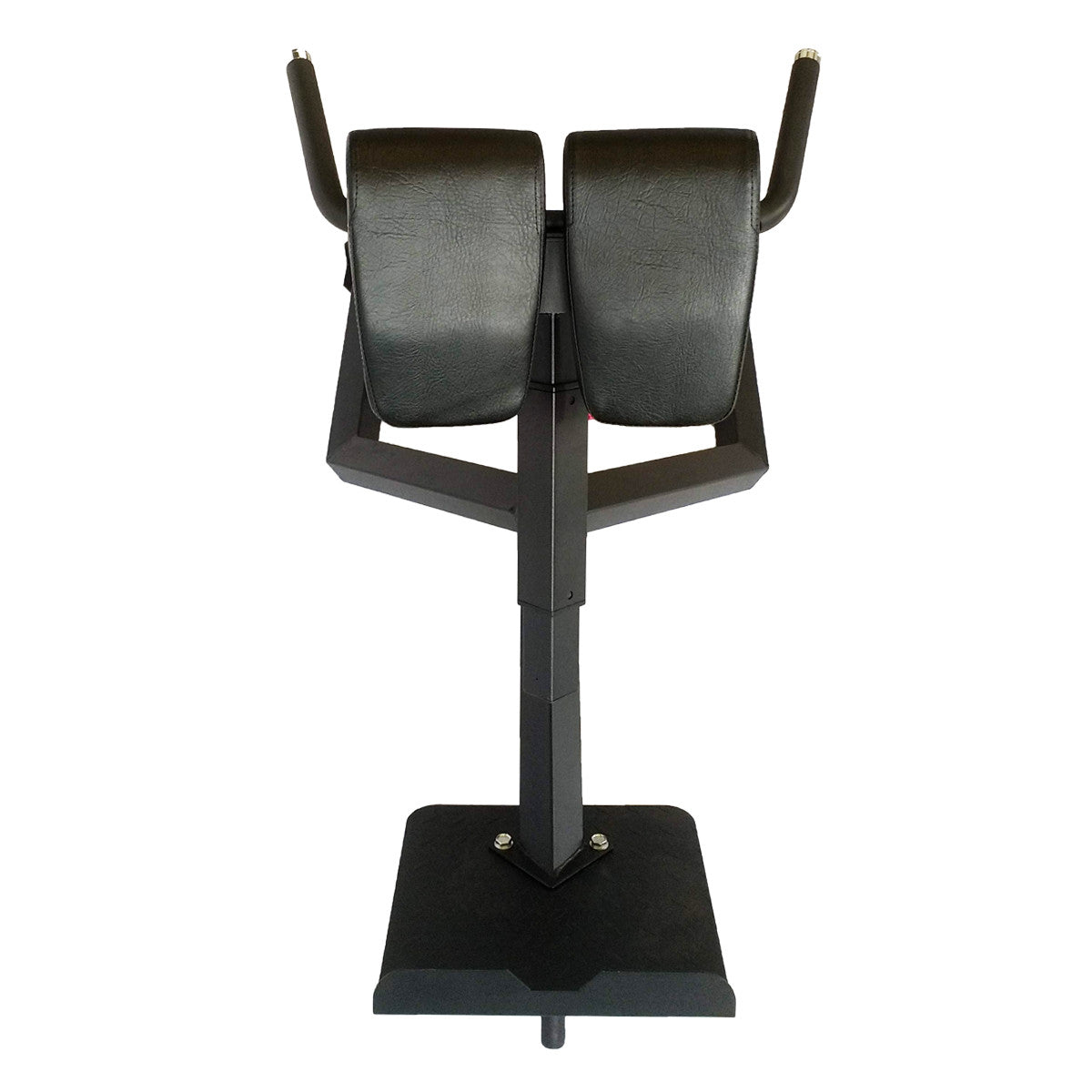 strength-shop-riot-banc-lombaires-hyperextension-heavy-duty image 6