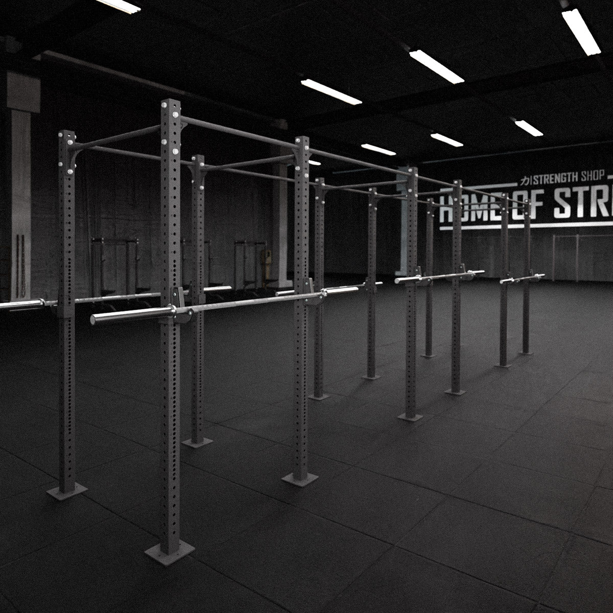 strength-shop-riot-rig-mrr-cube-autoportant-station-traction image 6