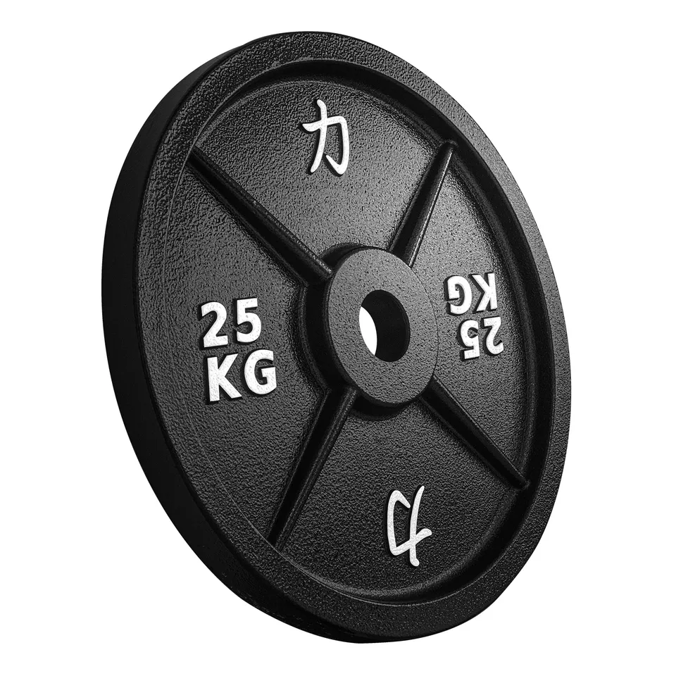 strength-shop-riot-disques-fonte-cast-iron-plates image 1
