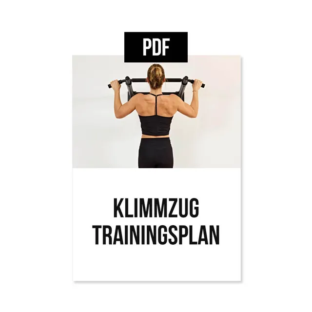 pullup-dip-plan-d-entra-nement-tractions-10-semaines-anglais-pdf image 1