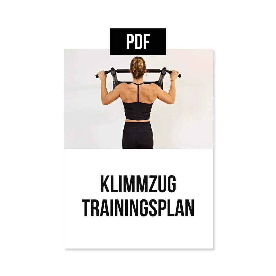 pullup-dip-plan-d-entra-nement-tractions-10-semaines-anglais-pdf image 1