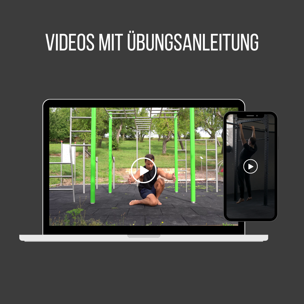 pullup-dip-ultimate-calisthenics-guide-bundle-4-guides-anglais-pdf image 6
