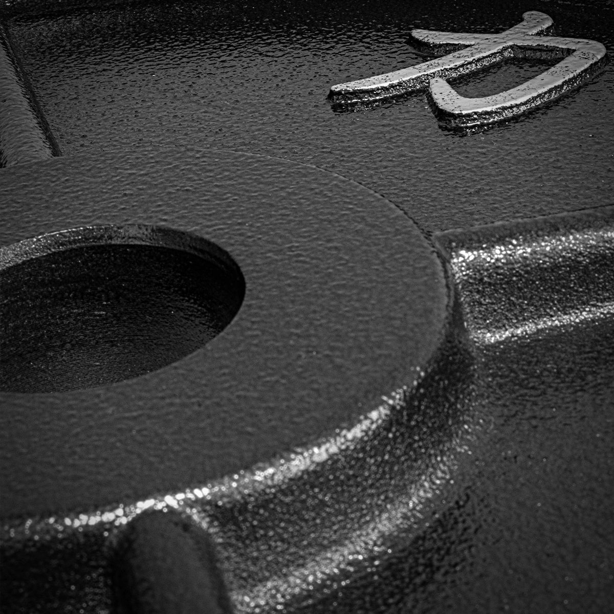 strength-shop-riot-disques-fonte-cast-iron-plates image 3