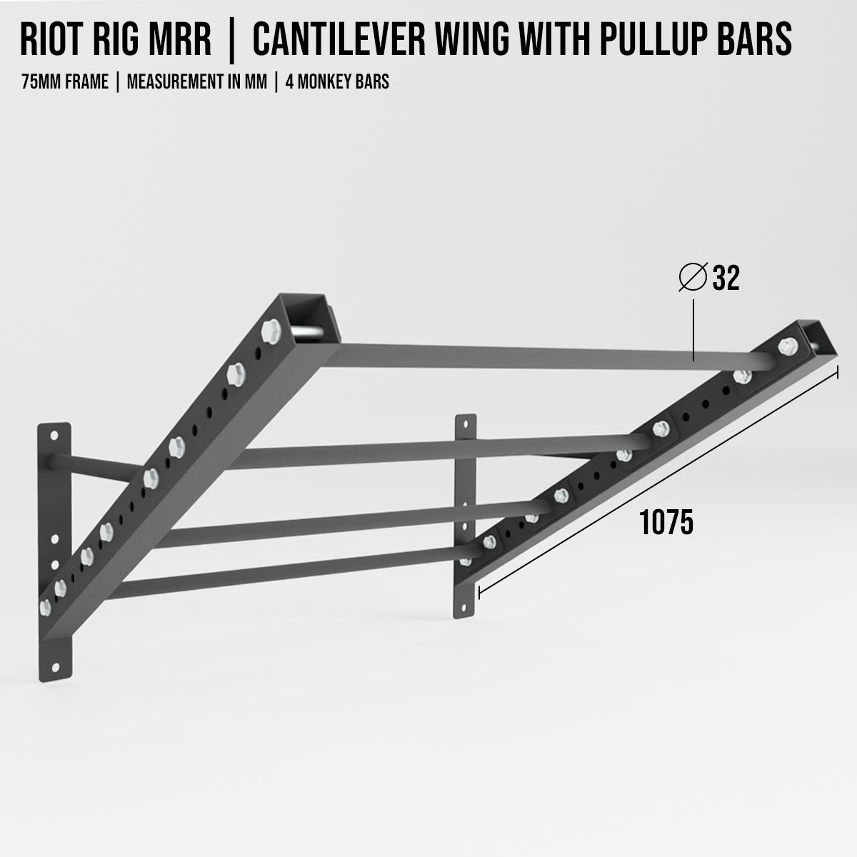 strength-shop-riot-rig-mrr-cantilever-wing-avec-monkey-bars image 2