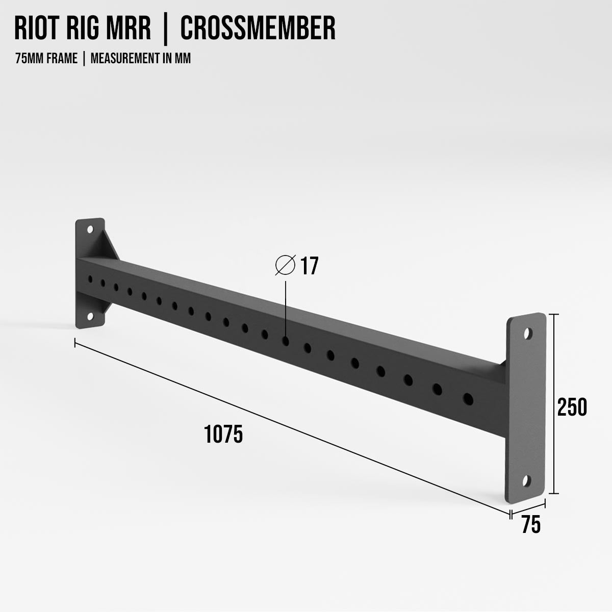 strength-shop-riot-rig-mrr-traverses-extended-1x-1-5x-2x image 2