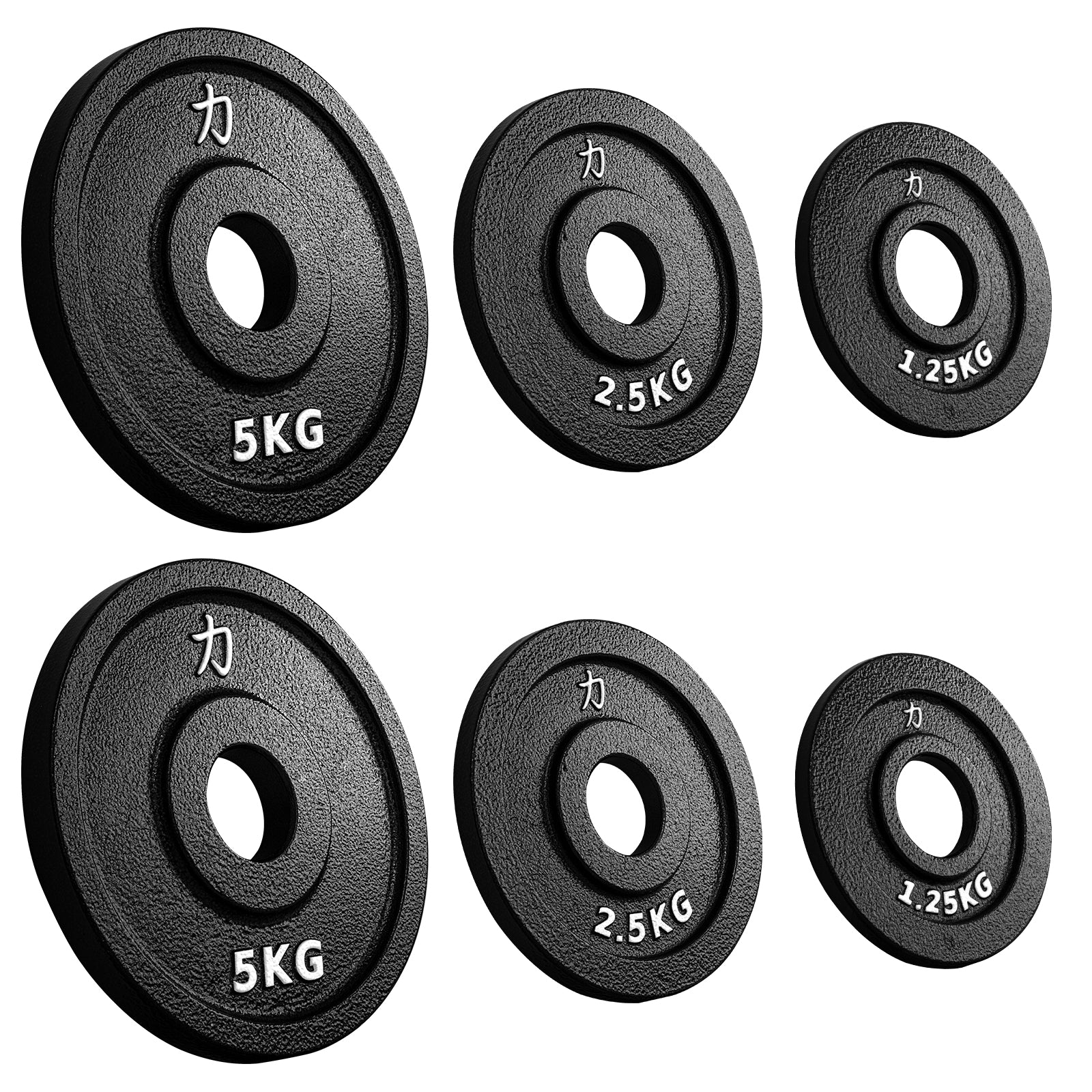 strength-shop-riot-cast-iron-plates-powerlifting-2x5kg-2x2-5kg-2x1-25kg image 1
