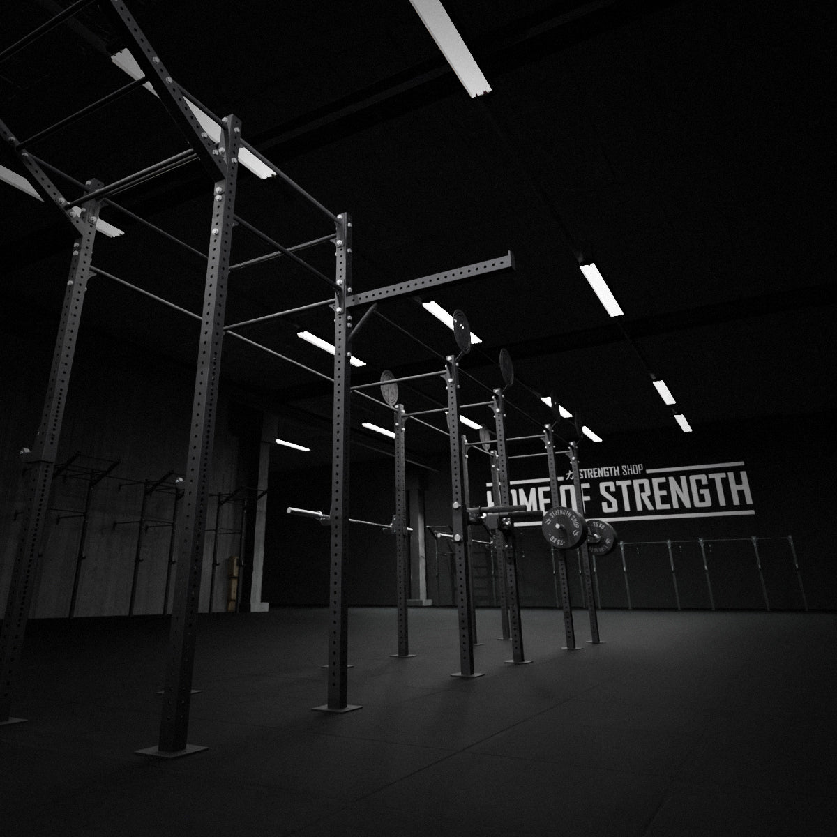strength-shop-riot-rig-mrr-outrigger-stabilisateur-de-rig image 4
