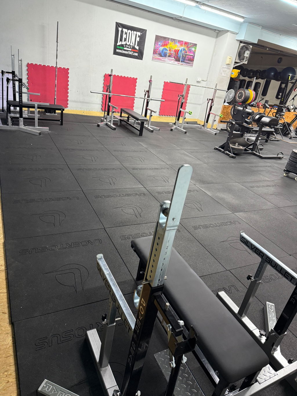 Parfait pour squat et bench